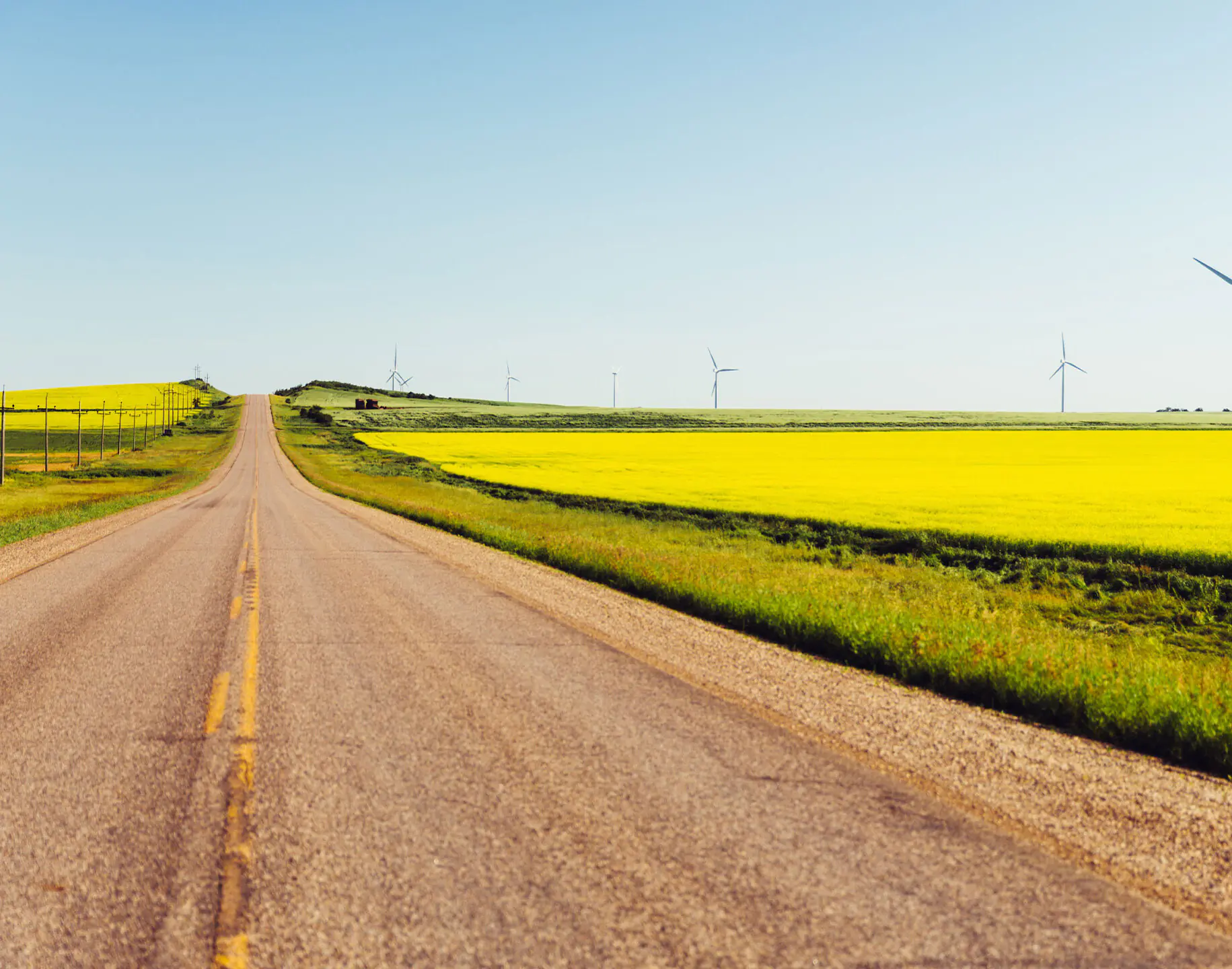 cropped-central-manitoba-tourism.jpg canola fields in manitoba