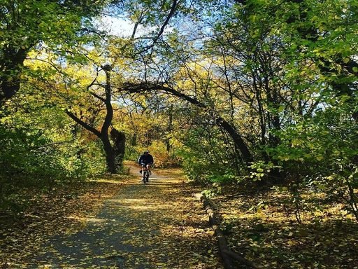 largest forests winnipeg assiniboine forest